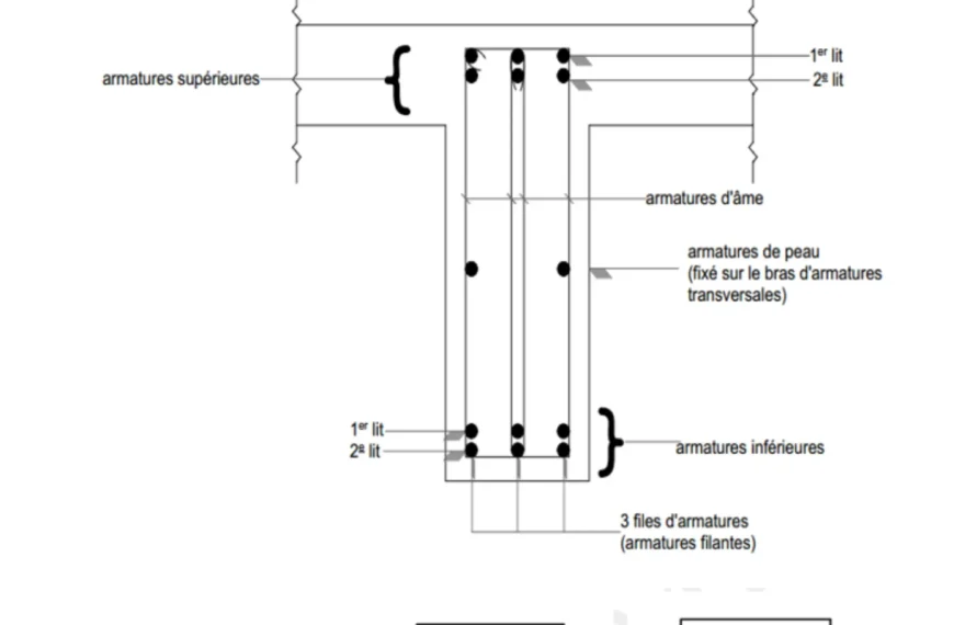Complete lesson with modified exercises to download